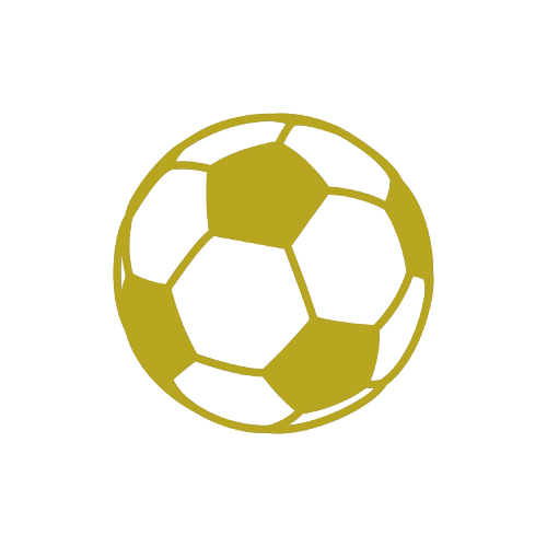 StreetGols Logo